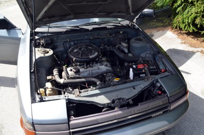 mot5.jpg