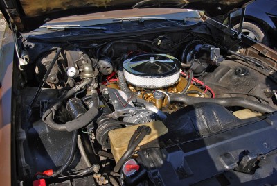 `76 Buick Regal... engine