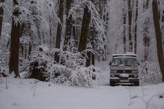 IMG_9101-Enhanced-NR