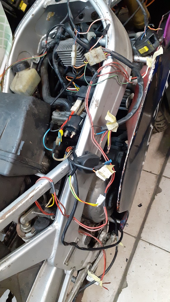 20210216_155711 – kopija.jpg