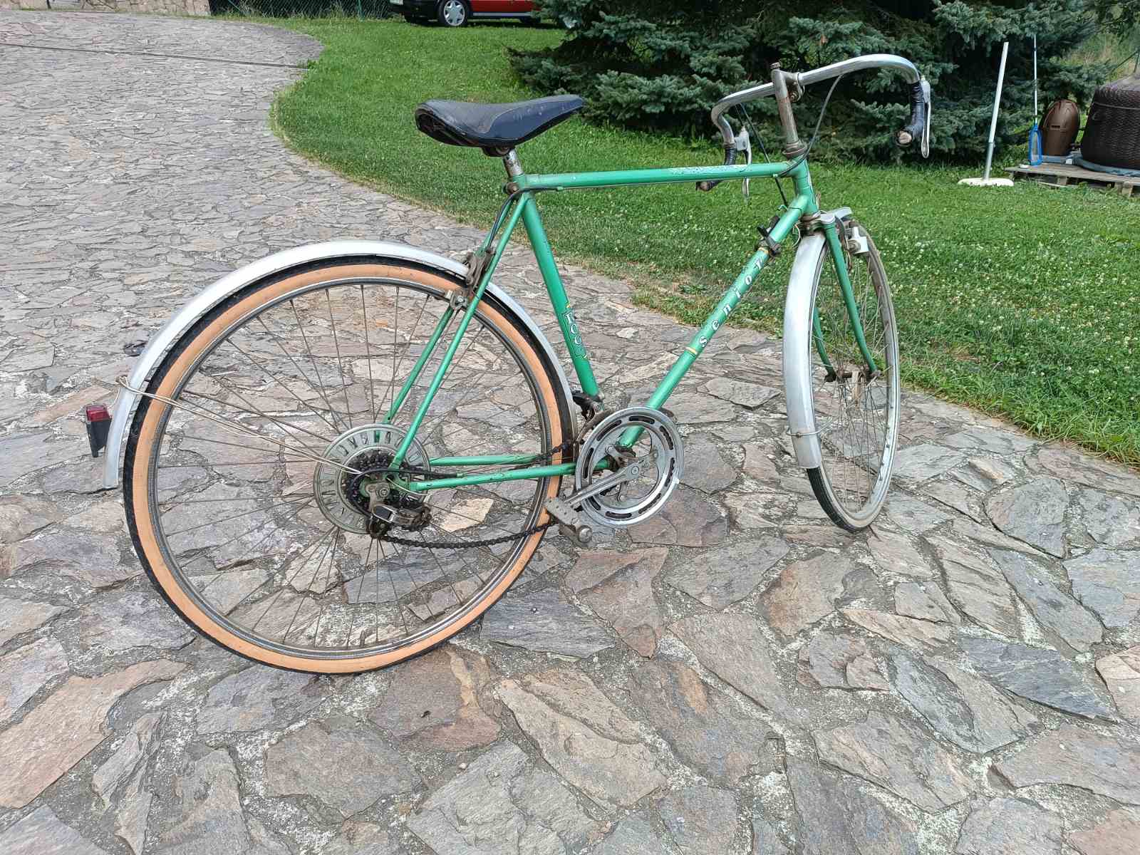 Rog Senior 10Gang 2.jpg